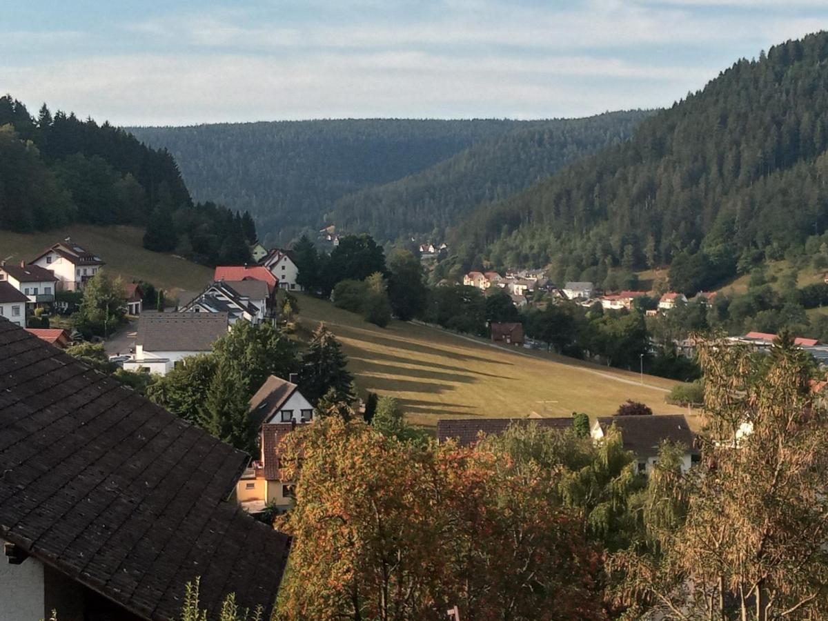 Appartement Waldblick à Baiersbronn Extérieur photo